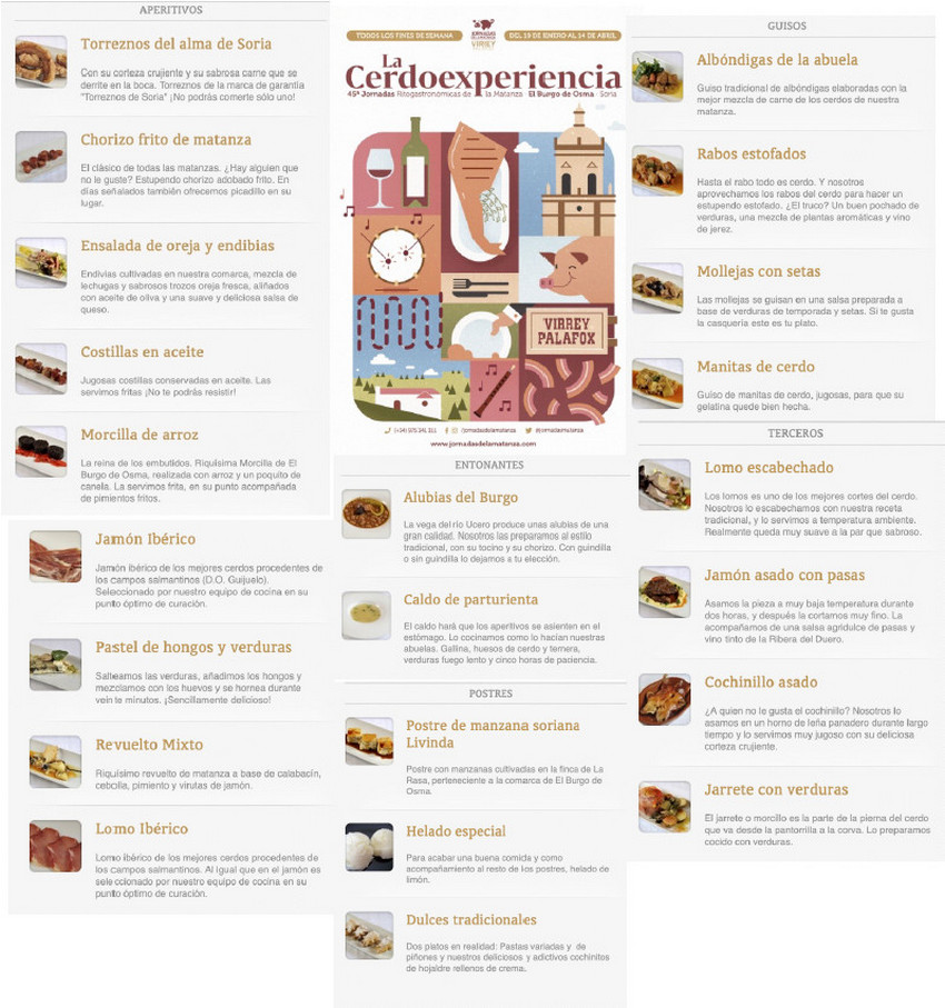 cerdoexperiencia2